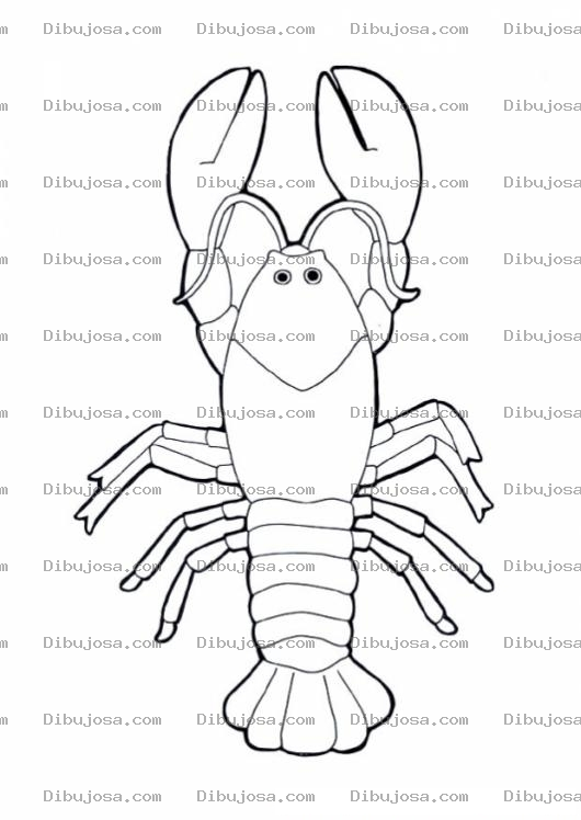 Dibujo para colorear Colorear Langosta