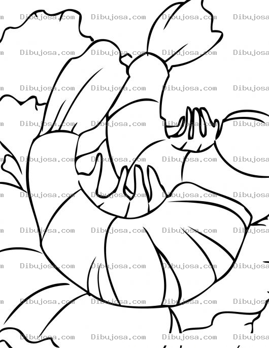 Dibujo para colorear Colorear Camarones en ensalada