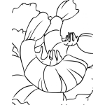 Dibujo para colorear Colorear Camarones en ensalada