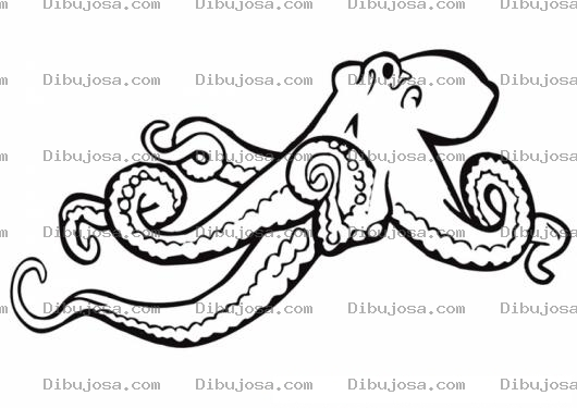 Dibujo para colorear Colorear Pulpo