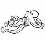 Dibujo para colorear Colorear Pulpo