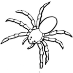 Dibujo para colorear Colorear Tarantula