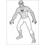 Dibujo para colorear Colorear Spiderman