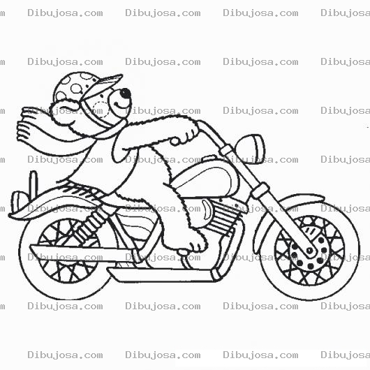 Dibujo para colorear La Moto Del Oso Dibujo Del Oso En Harkey Davidson Para Pintar Y Colorear Osito Motorista