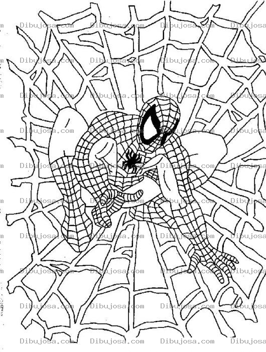 Dibujo para colorear Dibujo de Spiderman