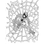 Dibujo para colorear Dibujo de Spiderman