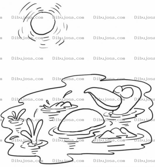Dibujo para colorear Colorear Pato Bronceandose