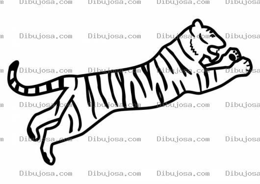 Dibujo para colorear Colorear Tigre