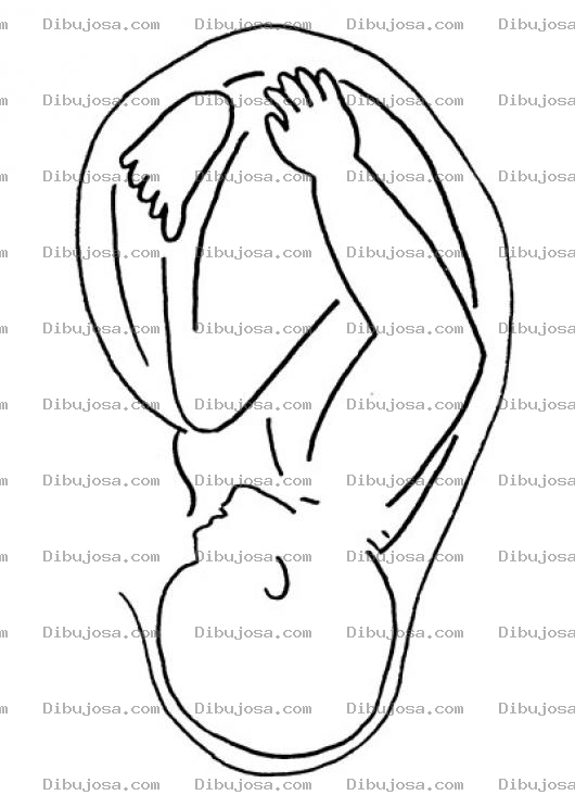 Dibujo para colorear Dibujo De Bebe Encajado Para Pintar Y Colorear