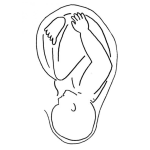 Dibujo para colorear Dibujo De Bebe Encajado Para Pintar Y Colorear