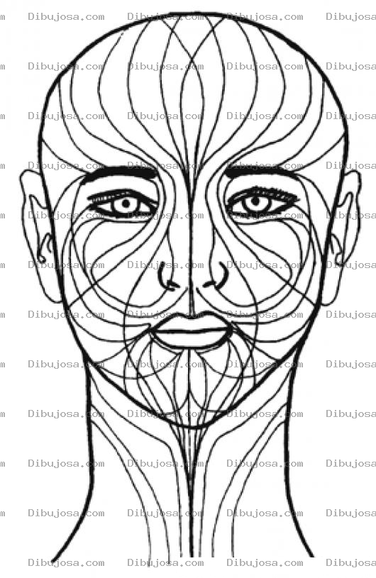 Dibujo para colorear Dibujo De Las Lineas De Expresion De La Cara Para Pintar Y Colorear Lineasdeexpresion