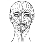 Dibujo para colorear Dibujo De Las Lineas De Expresion De La Cara Para Pintar Y Colorear Lineasdeexpresion