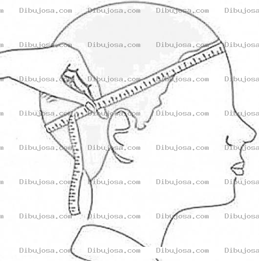 Dibujo para colorear Como Medir La Circunferencia De La Cabeza