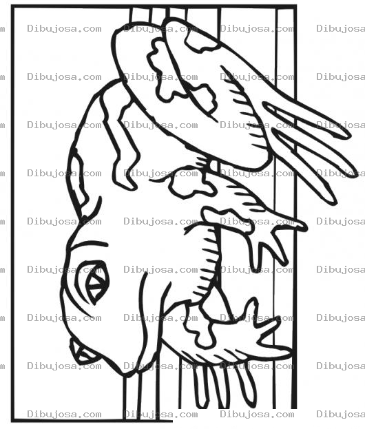 Dibujo para colorear Dibujo De Rana En El Piso Para Pintar Y Colorear