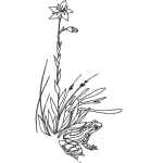 Dibujo para colorear Dibujo De Rana Bajo Una Flor De Pantanao Para Colorear