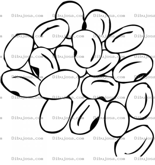 Dibujo para colorear Frijolitos Dibujo De Granos De Frijoles Para Pintar Y Colorear Frijoles Negros Frijoles Blnacos Frijoles Colorados Frijoles Rojos Y Piloys Frijolal Frijolerio Loco