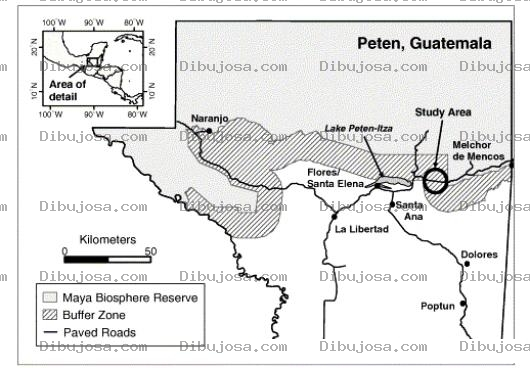 Dibujo para colorear Petenmap Dibujo Del Mapa De Peten En Guatemala Para Pintar Y Colorear Mapadepeten Mapapeten