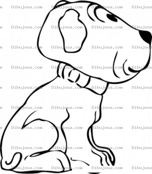 Dibujo para colorear Perro Chato Para Pintar Y Colorear Perro Cara Plana