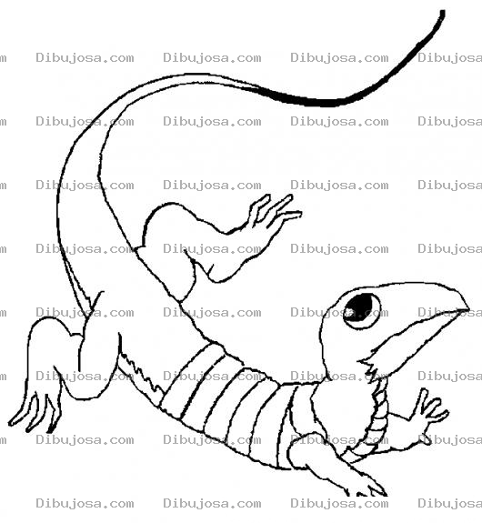 Dibujo para colorear Tanconete Dibujo De Un Cutete Para Pintar Y Colorear Iguanita Verde