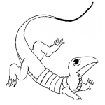 Dibujo para colorear Tanconete Dibujo De Un Cutete Para Pintar Y Colorear Iguanita Verde