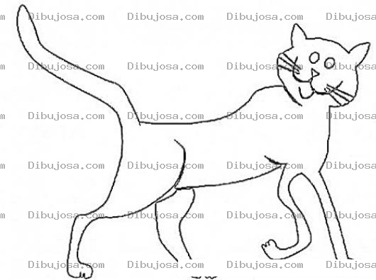 Dibujo para colorear Gataencelo Dibujo De Gata En Celo Para Pintar Y Colorear Gata Contenta