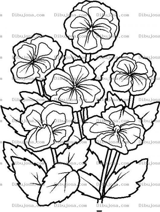Dibujo para colorear Dibujo De Flores Violetas Para Pintar Y Colorear