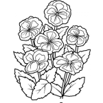 Dibujo para colorear Dibujo De Flores Violetas Para Pintar Y Colorear