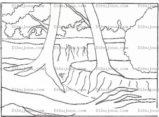 Dibujo para colorear Colorear Raices De Arboles