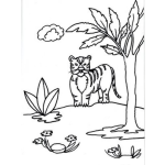 Dibujo para colorear Dibujo De Un Tigre En Un Pantano Para Pintar Y Colorear