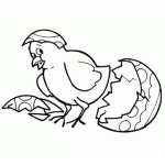 Dibujo para colorear Dibujo De Un Pollito Saliendo Del Cascaron Para Colorear El Nacimiento De Un Pollito Amarillo