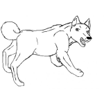 Dibujo para colorear Perrolobo Dibujo De Perro Lobo Para Pintar Y Colorear Loboperro