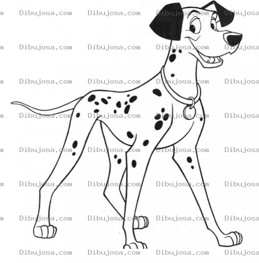 Dibujo para colorear Dalmata Dibujo De Un Perro Dalmata Para Pintar Y Colorear 101dalmatas
