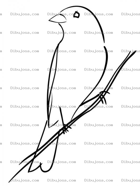 Dibujo para colorear Canarito Dibujo De Un Canario En Una Ramita Para Pintar Y Colorear