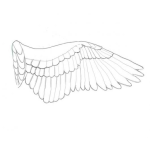 Dibujo para colorear Aladepajaro Dibujo De Una Ala De Pajaro Para Pintar Y Colorear