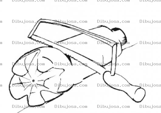 Dibujo para colorear Como Hacer Un Embudo Para Pintar Y Colorear