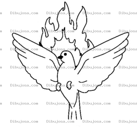 Dibujo para colorear Palomaconfuego Dibujo De Paloma Con Fuego Para Pintar Y Colorear