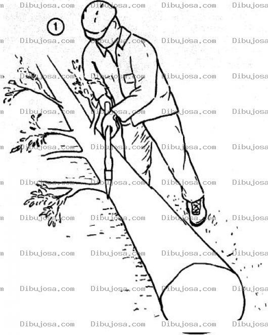 Dibujo para colorear Dibujo De Lenador Con Una Hacha Haciendo Lena De Un Arbol Caido Para Pintar Y Colorear