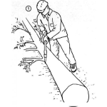 Dibujo para colorear Dibujo De Lenador Con Una Hacha Haciendo Lena De Un Arbol Caido Para Pintar Y Colorear