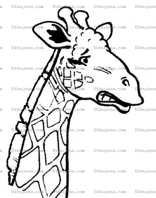 Dibujo para colorear Cuellodejirafa Dibujo D Eun Cuello De Jirafa Para Pintar Y Colorear La Cabeza D Euna Jirafita
