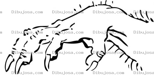 Dibujo para colorear La Mano Pelula Dibujo De Una Mano Con Garras Y Pelos Para Colorear