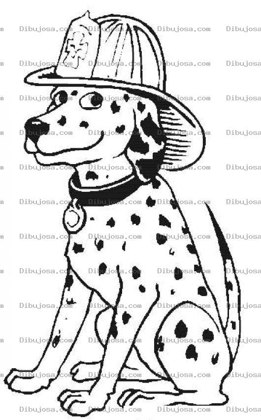 Dibujo para colorear Perrobombero Dibujo De Perro Bombero Para Pintar Y Colorear Bomberoperro