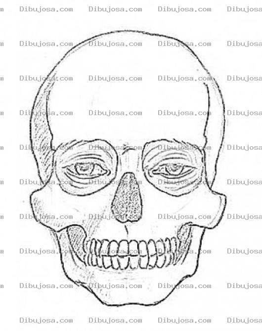 Dibujo para colorear Calavera Con Ojos Para Pintar Y Colorear