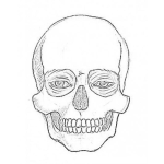Dibujo para colorear Calavera Con Ojos Para Pintar Y Colorear