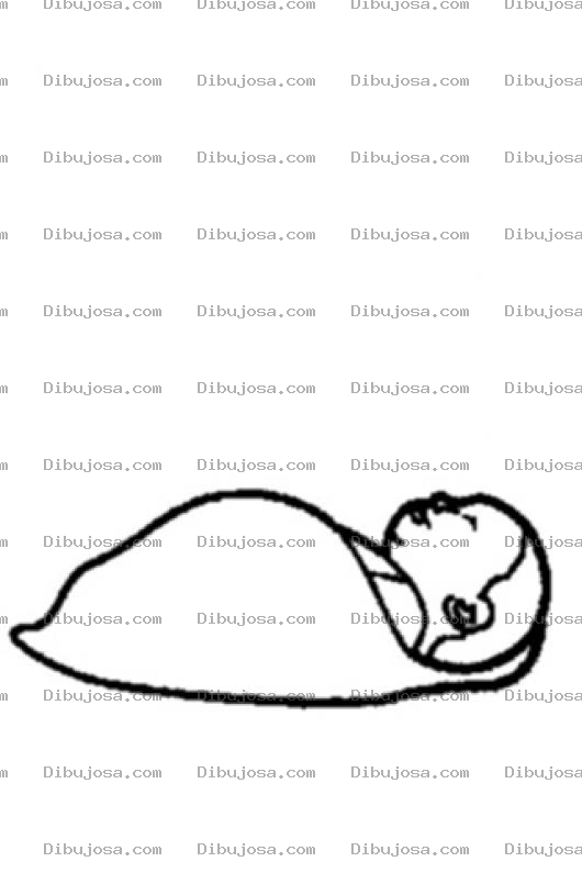 Dibujo para colorear Colorear Bebe Tiernito Recien Nacido