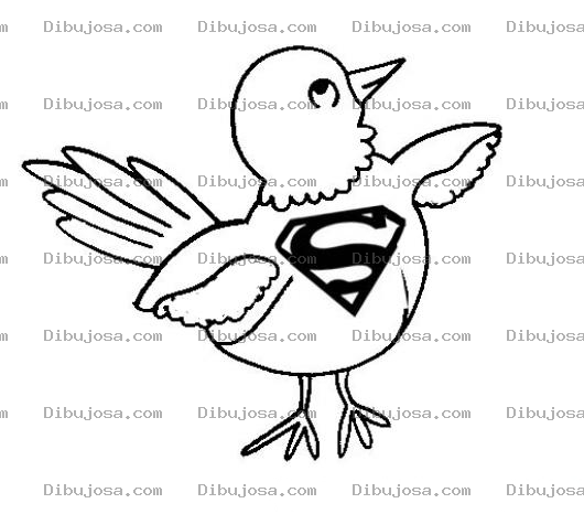 Dibujo para colorear Superpajarito Dibujo De Super Pajaro Para Pintar Y Colorear Pajaritosuper