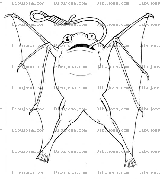 Dibujo para colorear Ranavoladora Dibujo De Rana Con Alas Para Colorear Rana Voladora