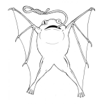 Dibujo para colorear Ranavoladora Dibujo De Rana Con Alas Para Colorear Rana Voladora