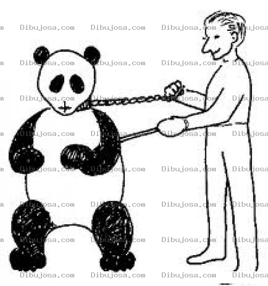 Dibujo para colorear Dibujo De Mascota Panda Para Colorear Panda Mascota