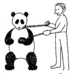 Dibujo para colorear Dibujo De Mascota Panda Para Colorear Panda Mascota