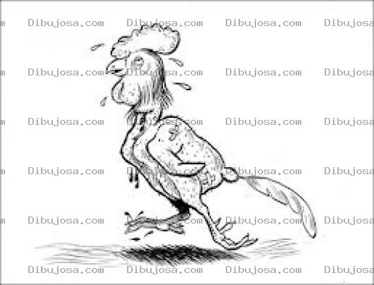Dibujo para colorear Gallodesplumado Dibujo De Gallo Desplumado Para Pintar Y Colorear Gallo Penqueado Adolorodo Y Sin Plumas